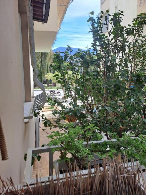 דירות קלמאטה Δίπλα Στο Πάρκο מראה חיצוני תמונה